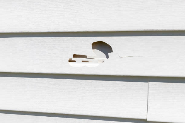Best Hoarding Cleanup  in Troy, MO